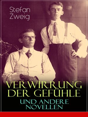 cover image of Verwirrung der Gefühle und andere Novellen